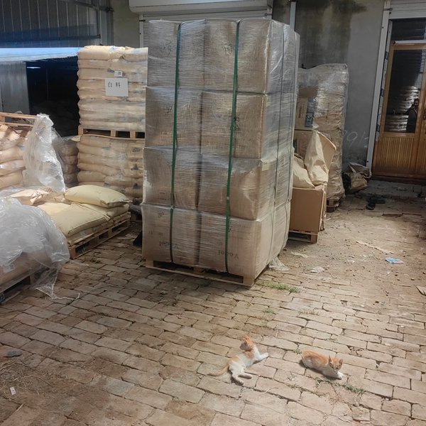 Abundant warehouse stock ensuring quick turnaround for global drag chain orders